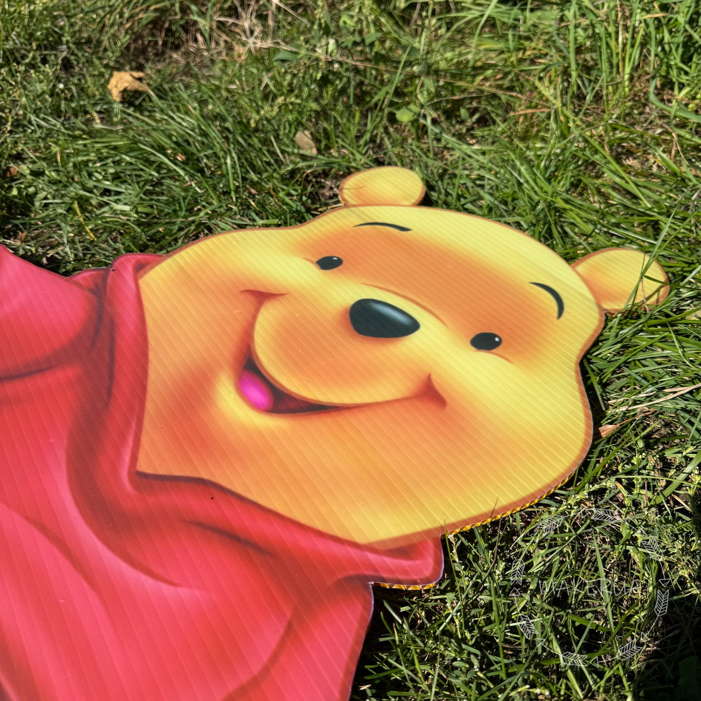 Winnie_the_Pooh_cartoon_birthday_party_decor 4