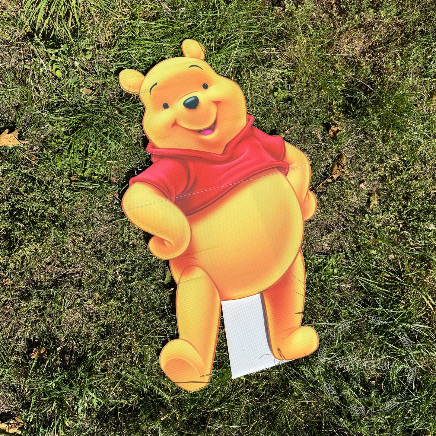 Winnie_the_Pooh_cartoon_birthday_party_decor 5