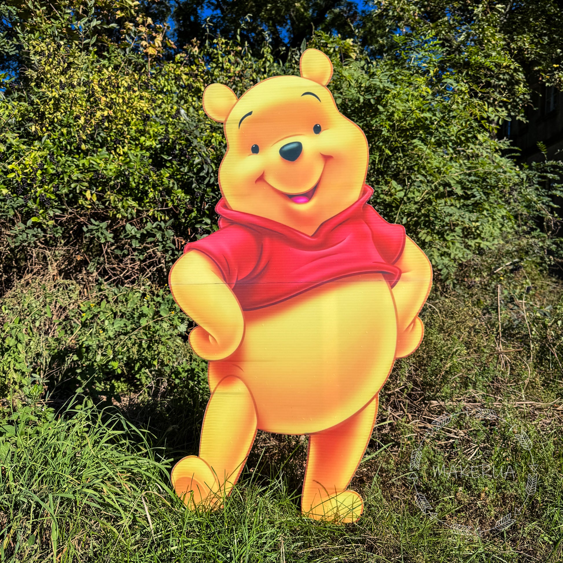 Winnie_the_Pooh_cartoon_birthday_party_decor 6