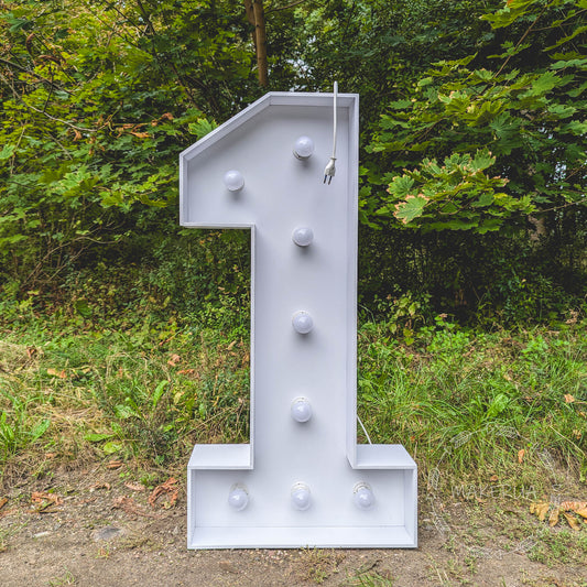 light up Marquee Number Letter LED bulb birthday decor 2